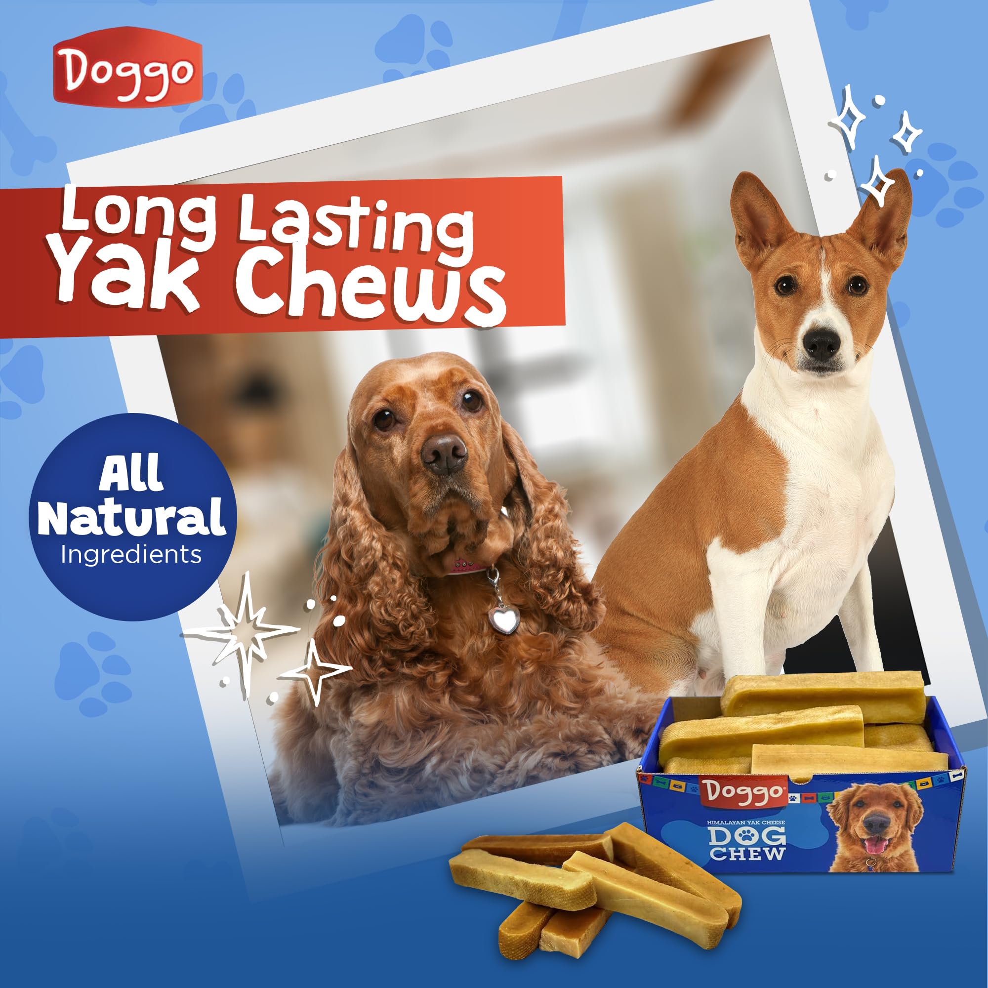 Doggo Dog Chew supports dental hygiene through regular chewing, without medical guarantees.