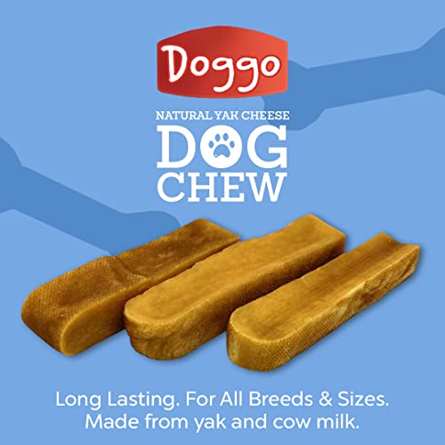 Doggo Dog Chew smoky aroma close-up highlights irresistible scent for engaging play.