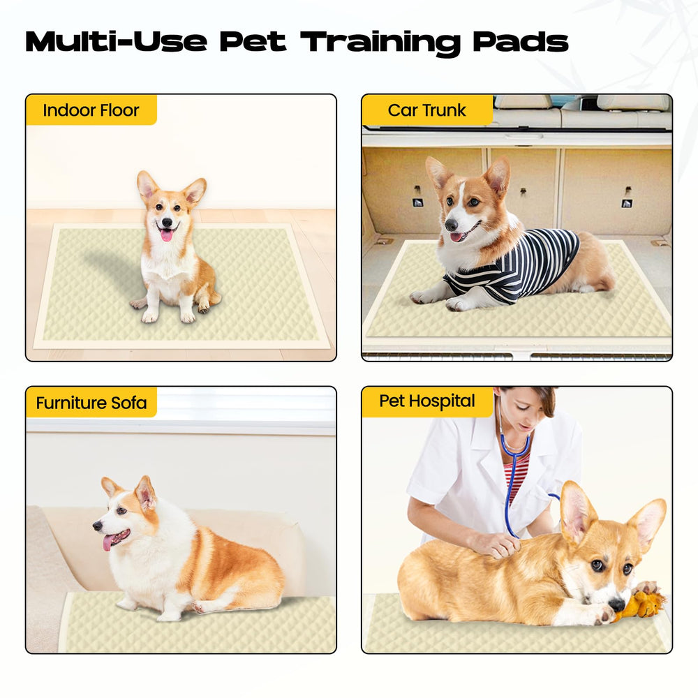 Doggo Doug absorbent gel forms quickly for cleanup.