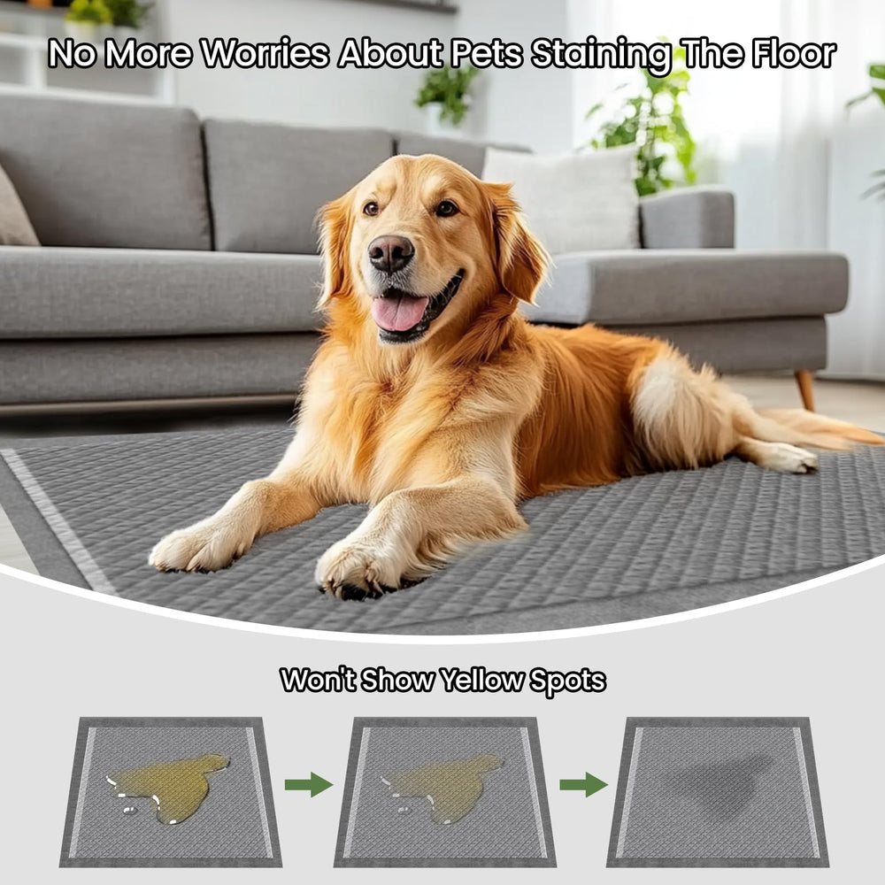 DOGGO DOUG activated carbon layer emphasizes odor control for a fresher home