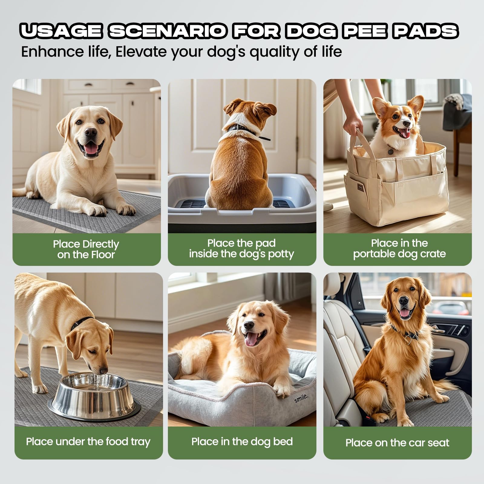 DOGGO DOUG adhesive tabs secure the pad in place during use