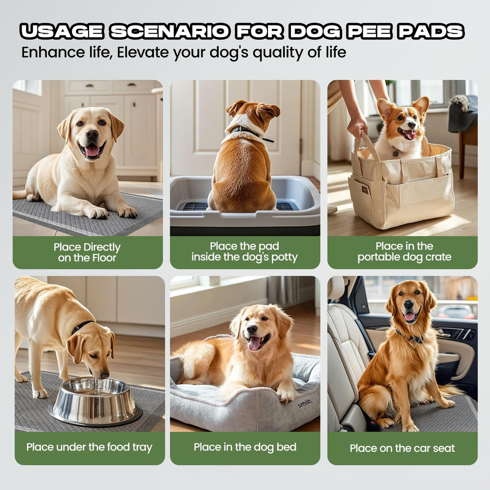 DOGGO DOUG adhesive tabs secure the pad in place during use