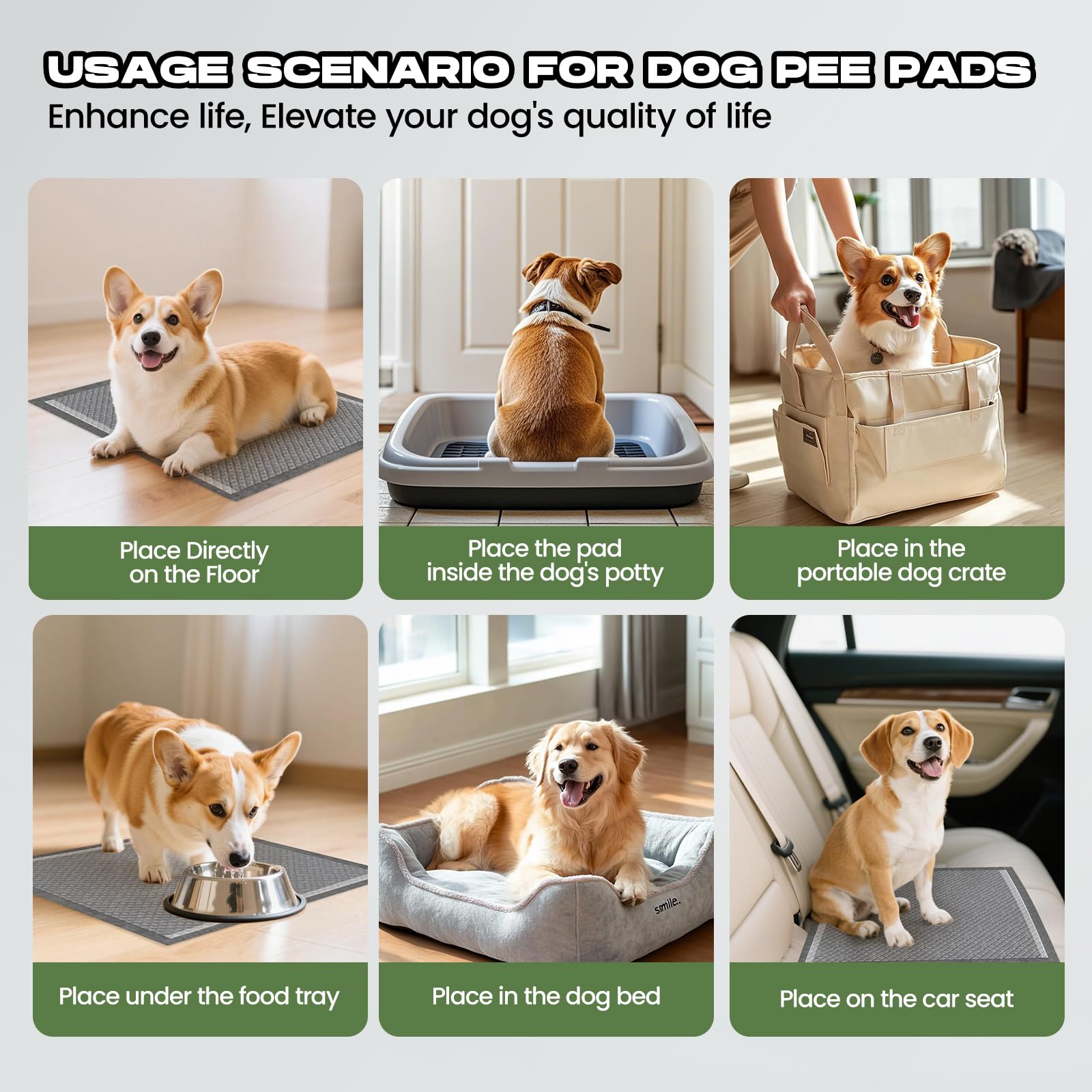 DOGGO DOUG travel-car use pads for in-car cleanup and on-the-go protection.
