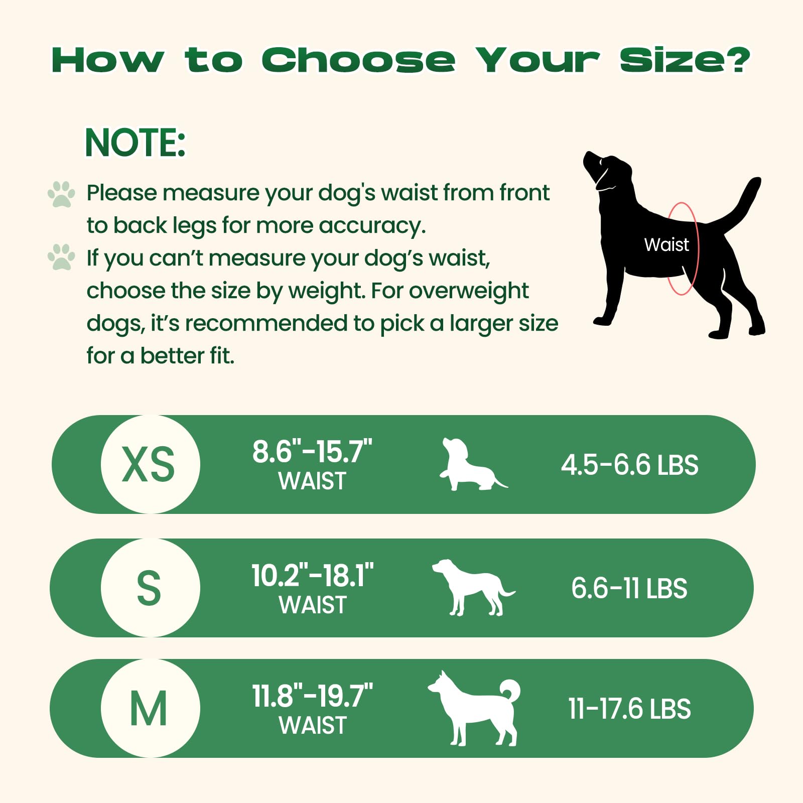 DOGGO DOUG diapers with absorbent core reduce odors and leaks