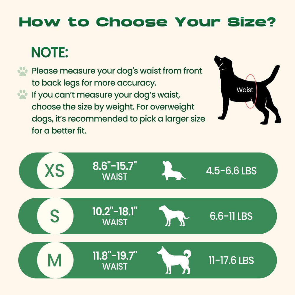 DOGGO DOUG diapers with absorbent core reduce odors and leaks