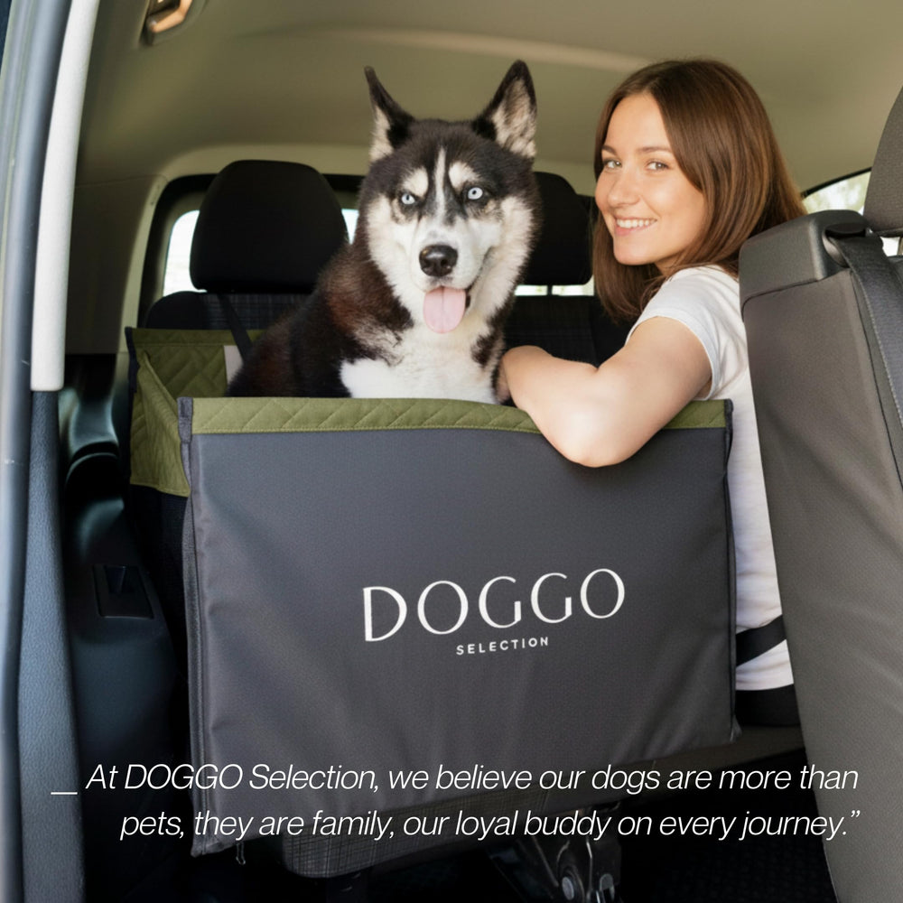 DOGGO Selection travel-friendly hammock green supports large and medium dogs across vehicles.