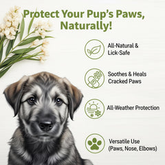 Doggy Style paw protection on snowy surface illustrating year-round shield from ice and salt