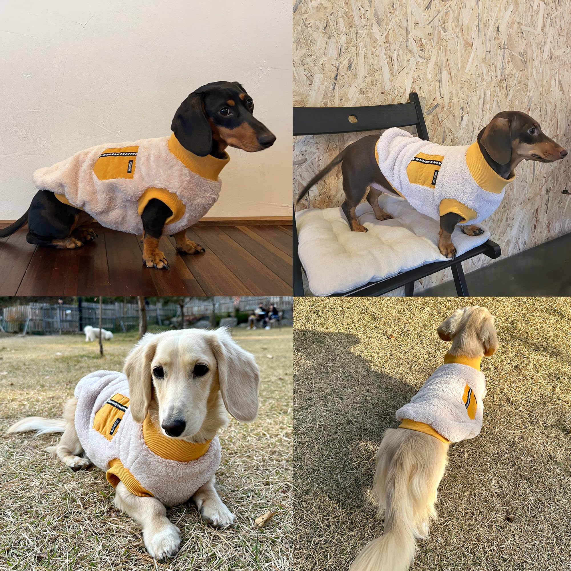 doggystar size-chart-guide shows ideal fit for small to large dachshunds