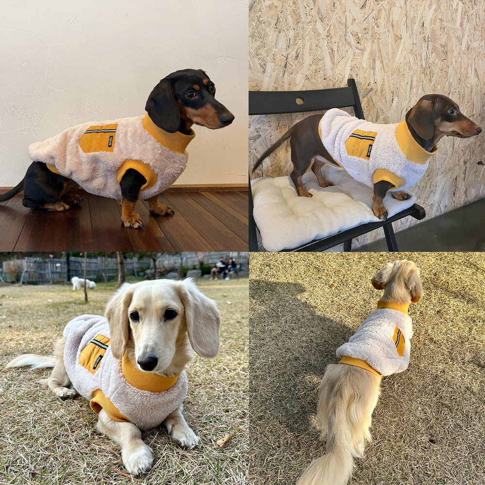 doggystar size-chart-guide shows ideal fit for small to large dachshunds
