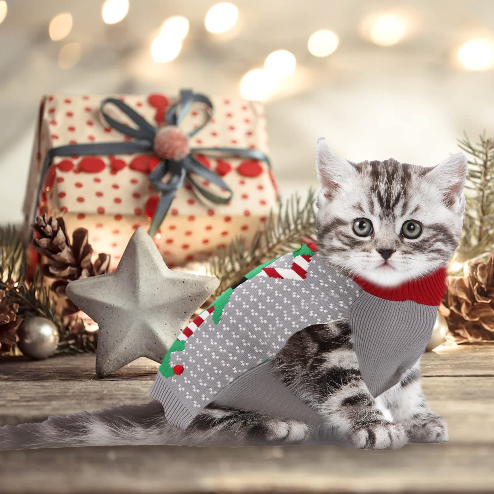 DOGGYZSTYLE Holiday pet outfit in action, ideal for Christmas parties and photos.
