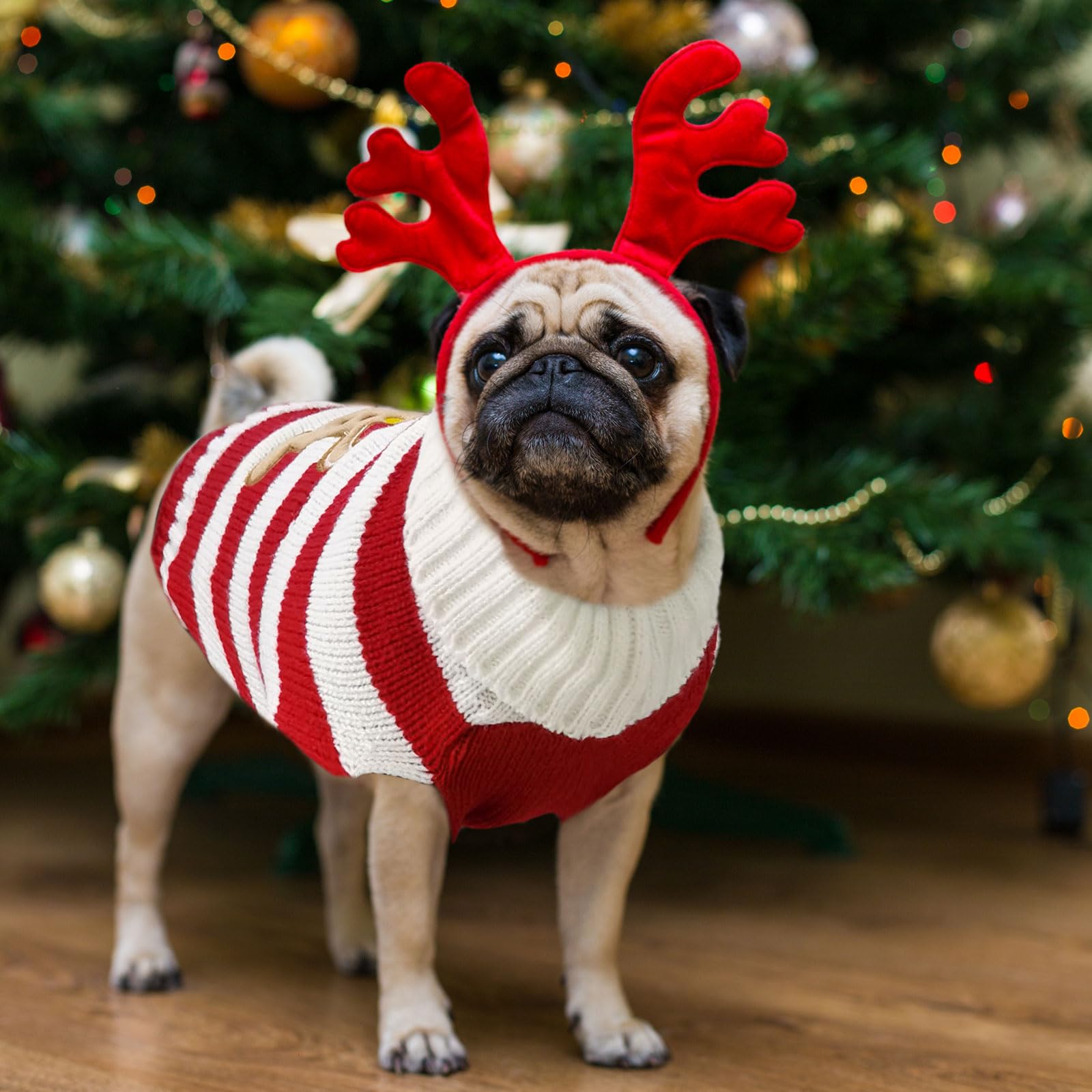 DOGGYZSTYLE machine-washable care keeps colors vibrant and knit intact