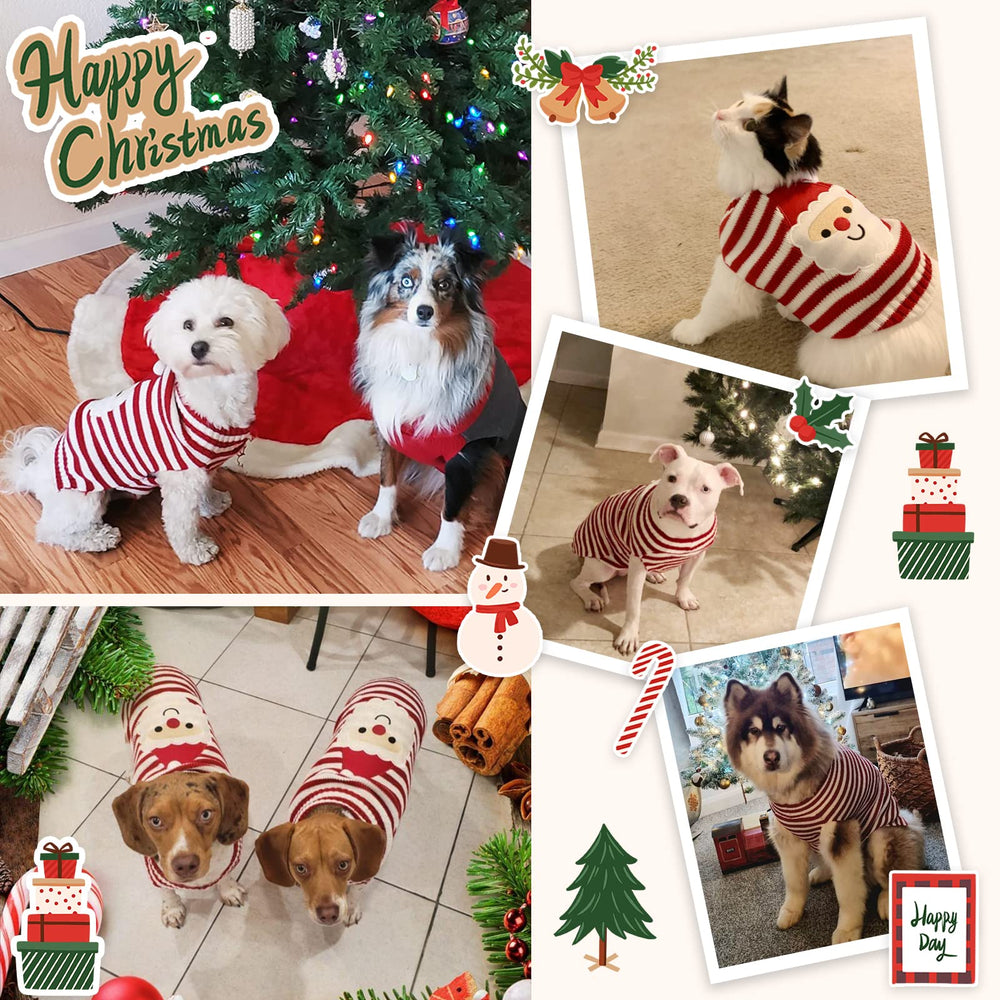 DOGGYZSTYLE machine-washable pet sweater for easy cleanup after treats.