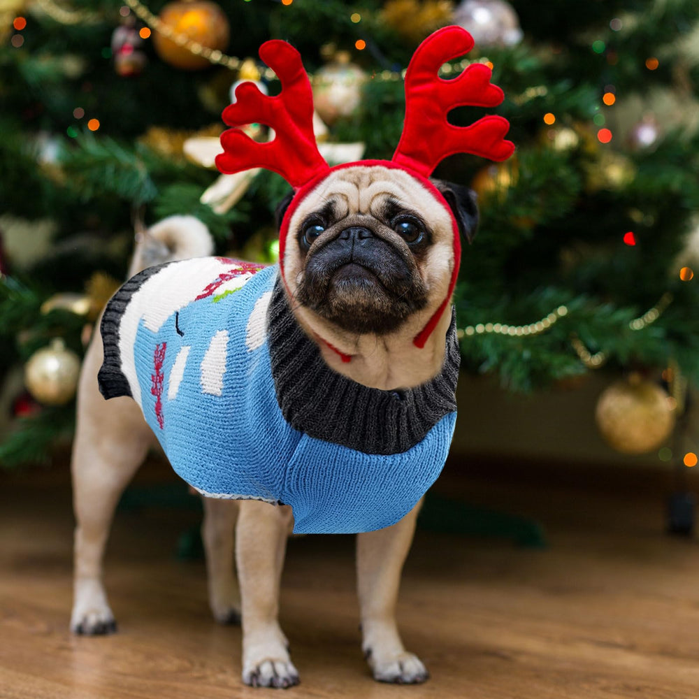 DOGGYZSTYLE roomy knit sweater supports movement and toilet breaks.