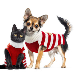 DOGGYZSTYLE soft-knit puppy sweater with comfortable fit for quick dressing