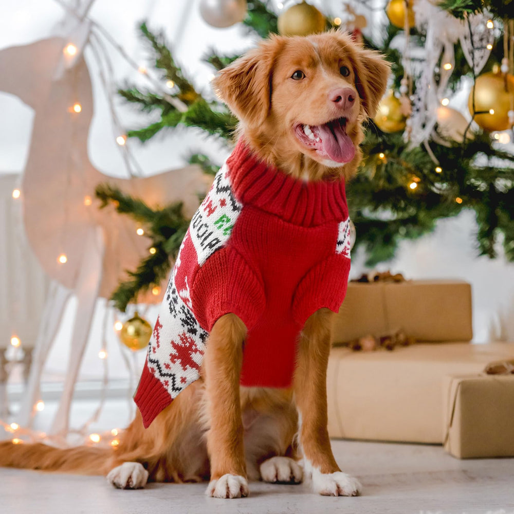 Doggyzstyle soft stretchy knit keeps dogs comfy and easy to wear.