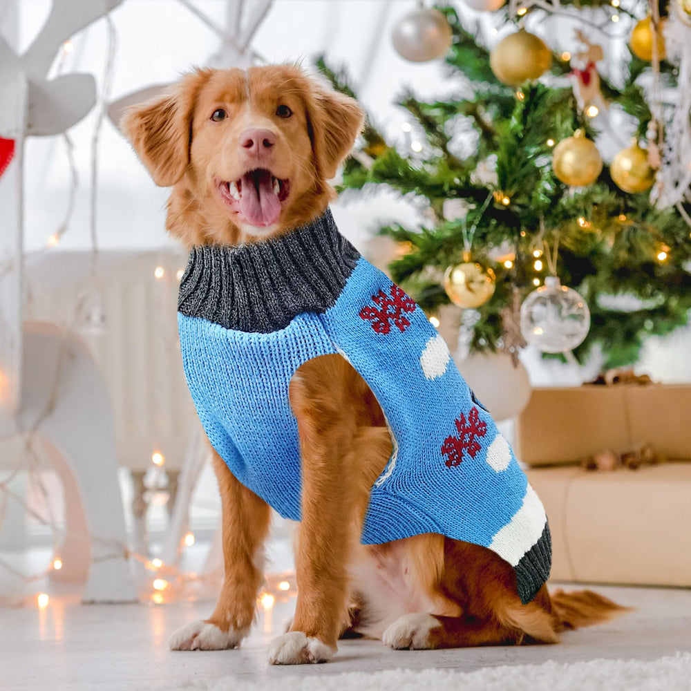 DOGGYZSTYLE soft stretchy puppy sweater with wool knit lining for comfort.