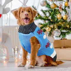 DOGGYZSTYLE soft stretchy puppy sweater with wool knit lining for comfort.