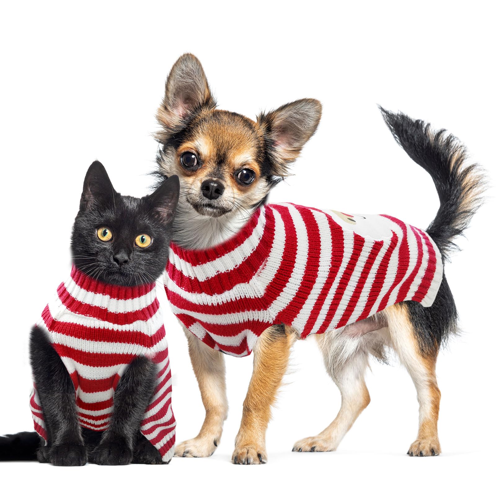 DOGGYZSTYLE soft stretchy wool-knit sweater keeps small dogs comfy during winter strolls.