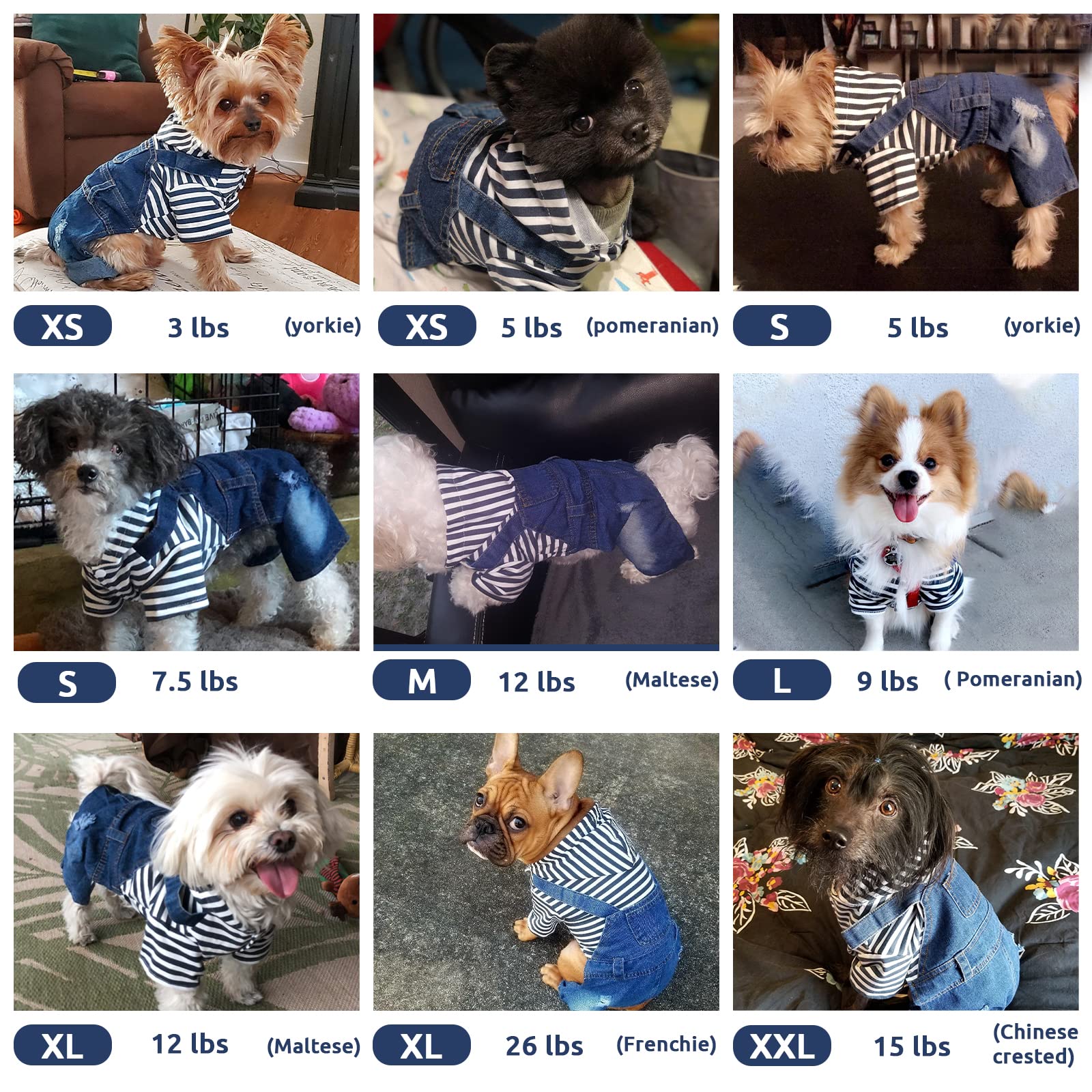 Doggyzstyle three-button top—easy-on, easy-off design for quick outfit changes.