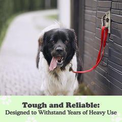 Doghook Canine Hitch indoor-outdoor use fits versatile spaces.