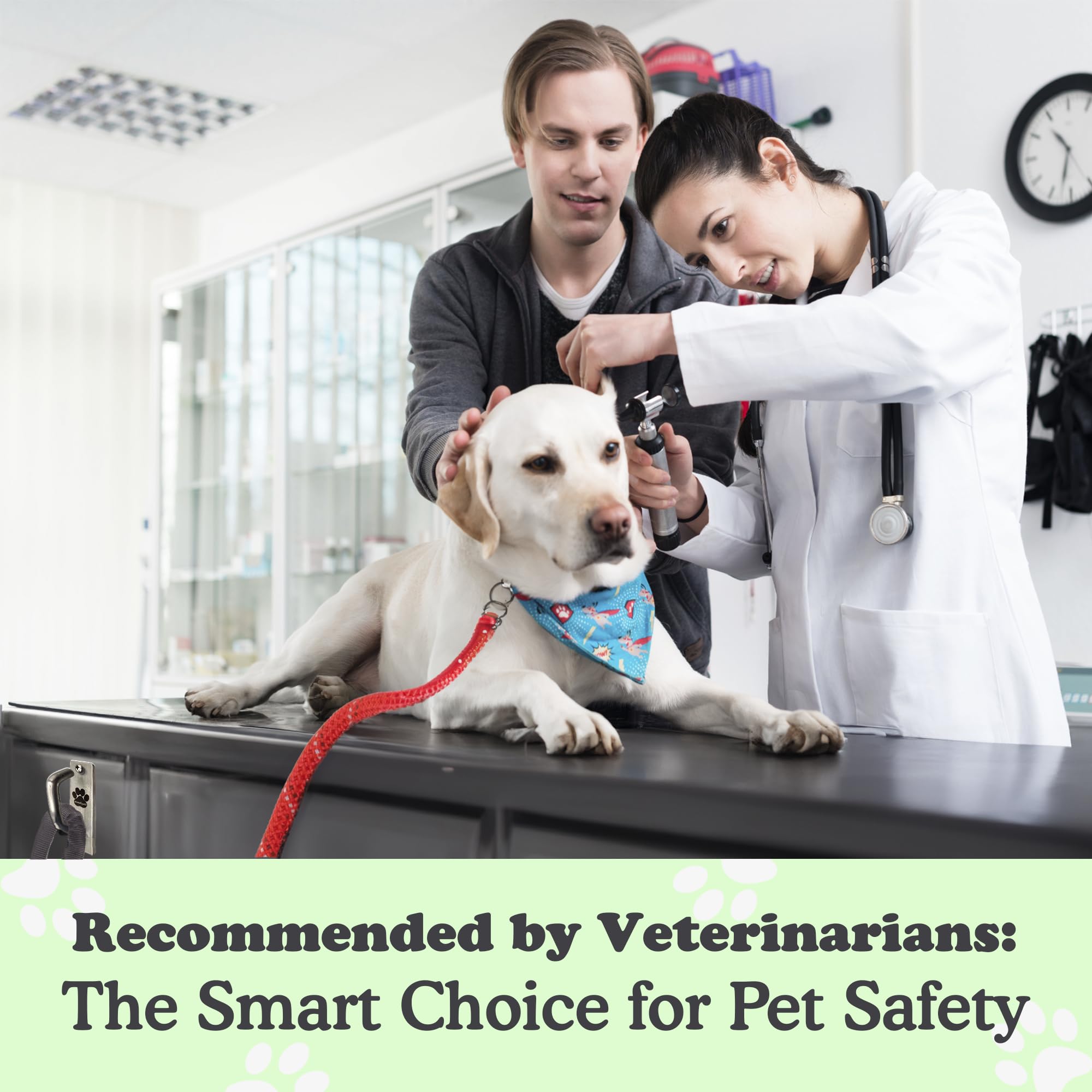 Doghook Canine Hitch rust-resistant materials withstand weather.