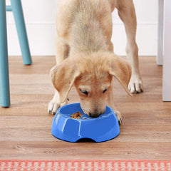 Dogit Go Slow closeup shows durable material for pet safety