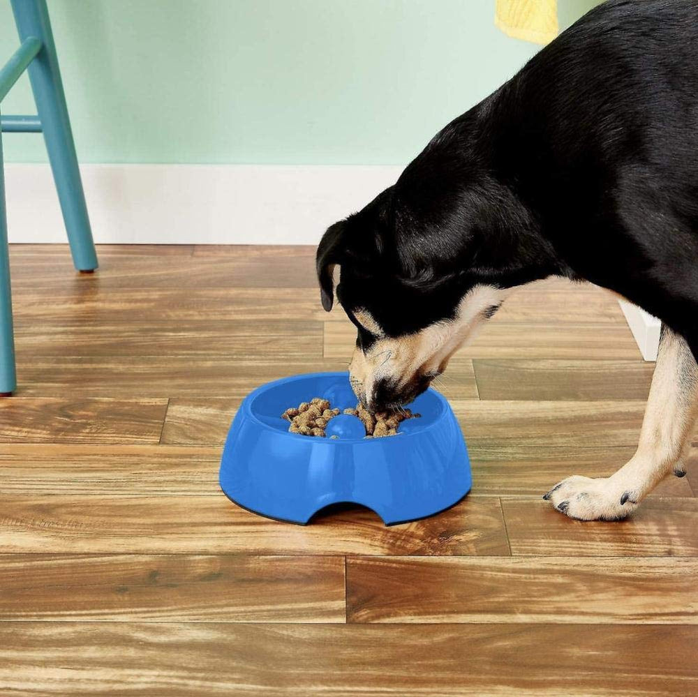 Dogit Go Slow bowl with non-slip base stays steady during meals