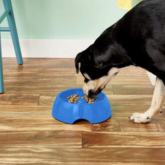 Dogit Go Slow bowl with non-slip base stays steady during meals
