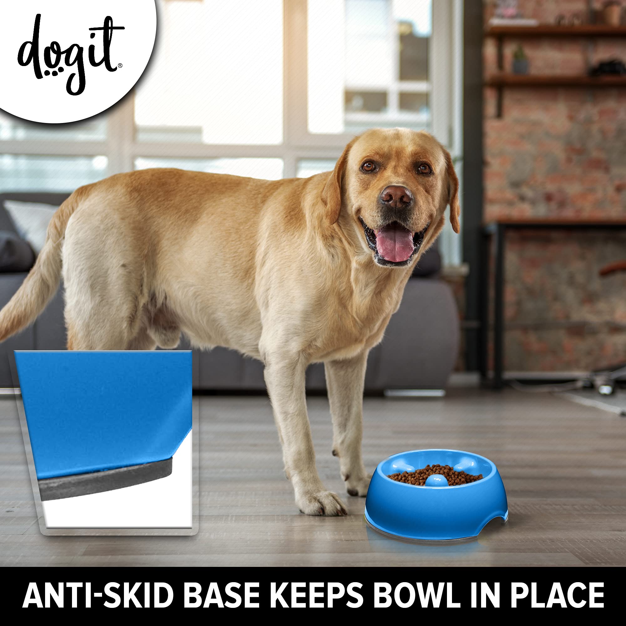 Dogit slow feeder bowl blue large in use during a calm feeding session.