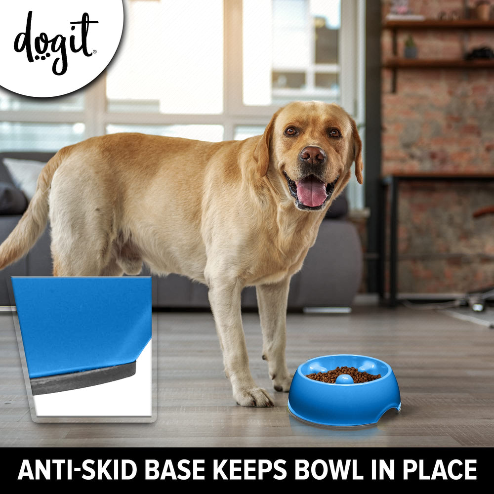 Dogit slow feeder bowl blue large in use during a calm feeding session.