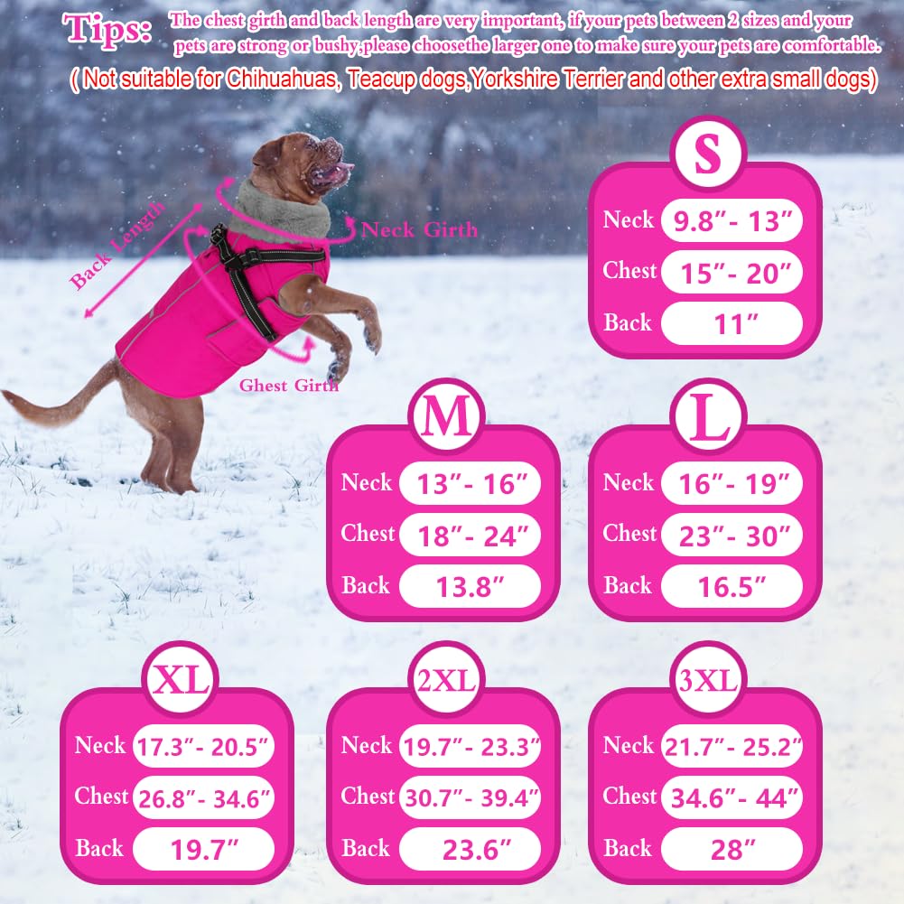 Doglay plush fleece lining close-up emphasizes soft warmth and neck protection.