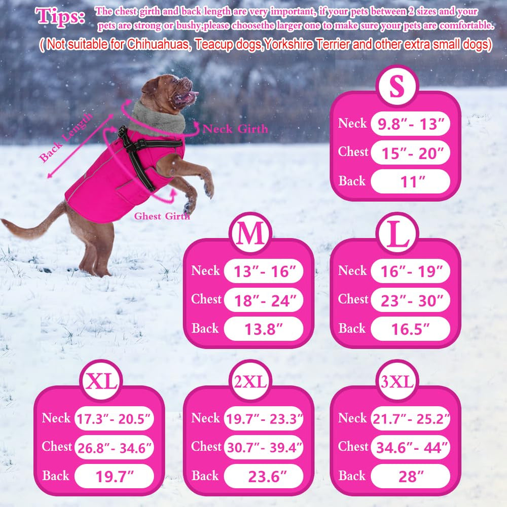 Doglay plush fleece lining close-up emphasizes soft warmth and neck protection.