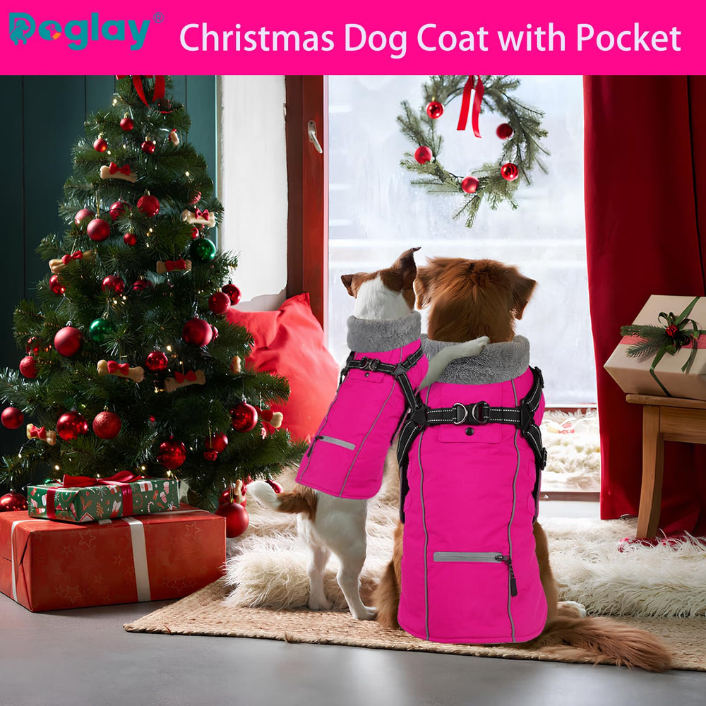 Doglay foldable high collar shown for neck protection in cold weather.