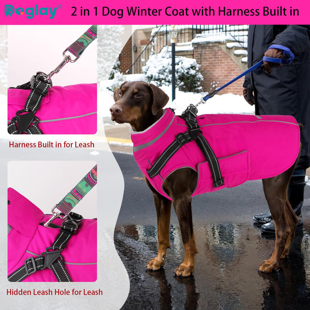 Doglay 2-in-1 coat worn on dog showing cozy warmth and mobility.
