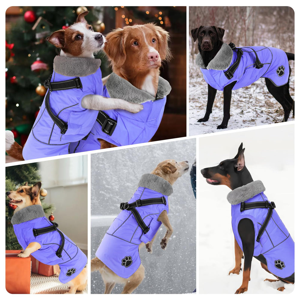 Doglay adjustable magic stickers closure on neck and belly for easy fitting
