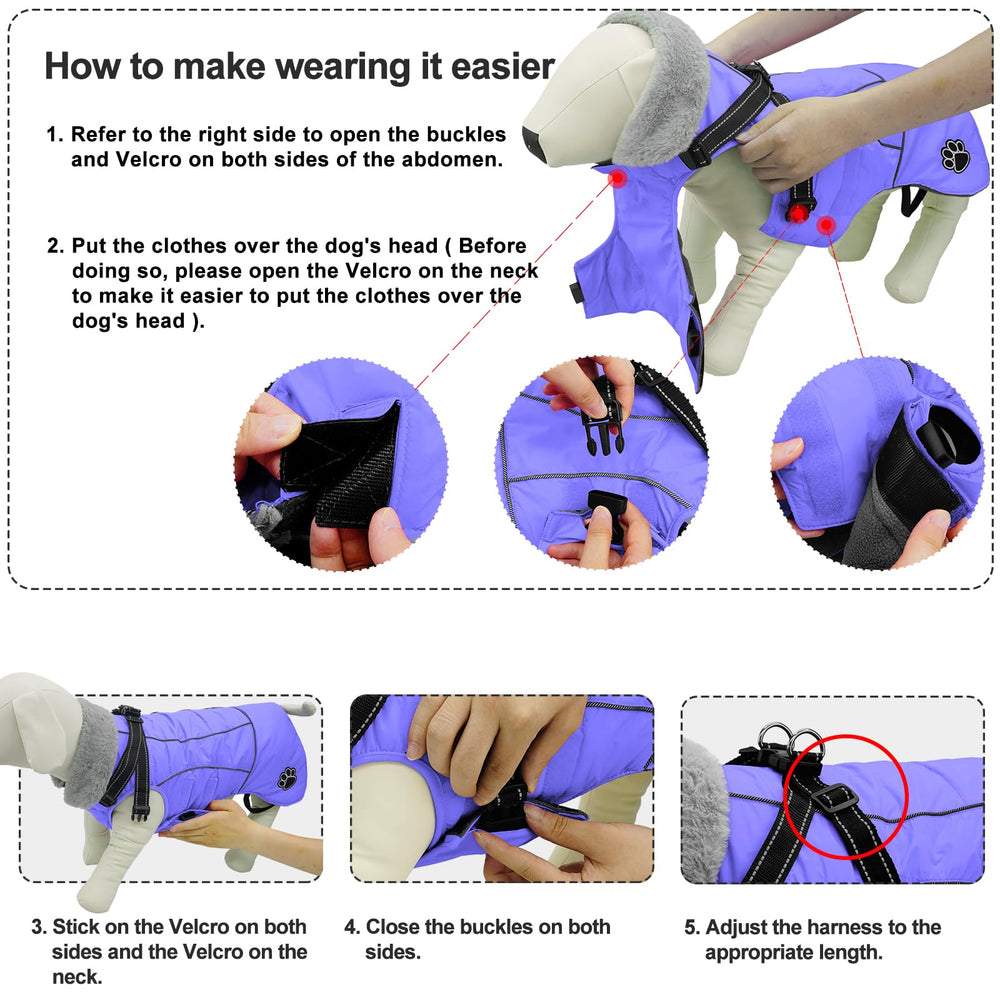 Doglay detachable harness integration for streamlined dog-walking setup