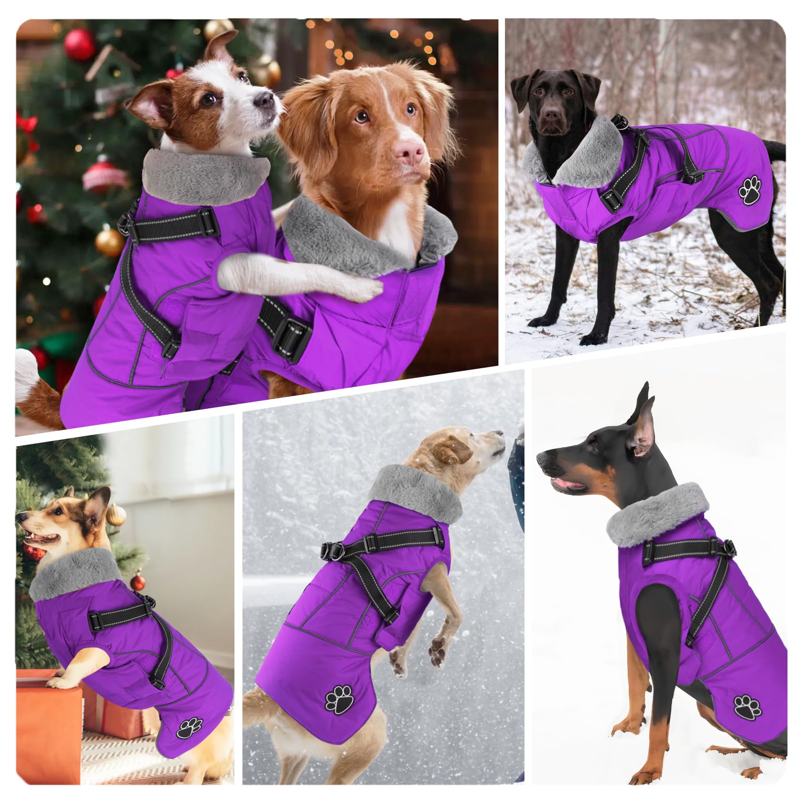 Doglay detachable harness allows safe walks with optional safety gear