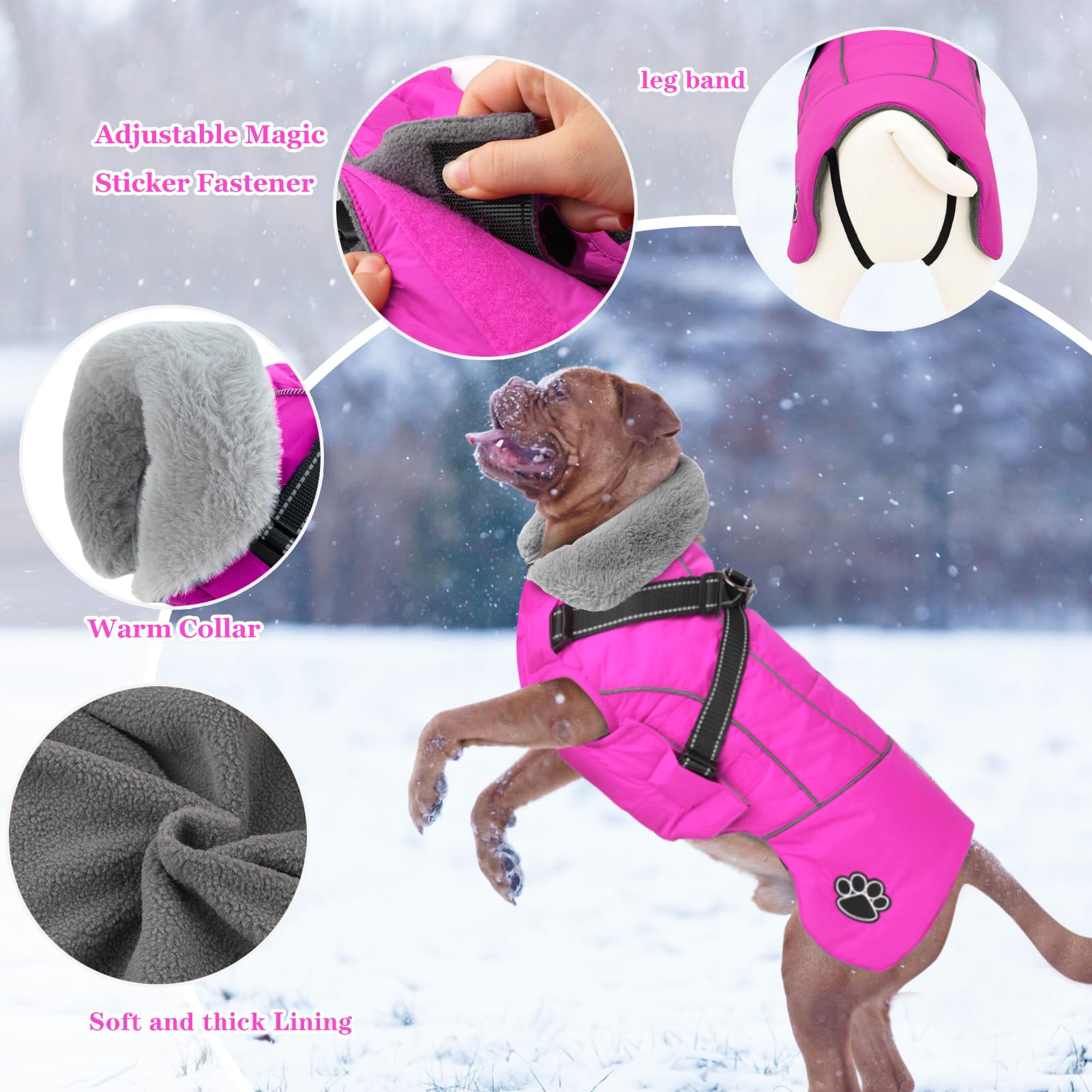 Doglay coat with adjustable magic sticker closures for snug fit