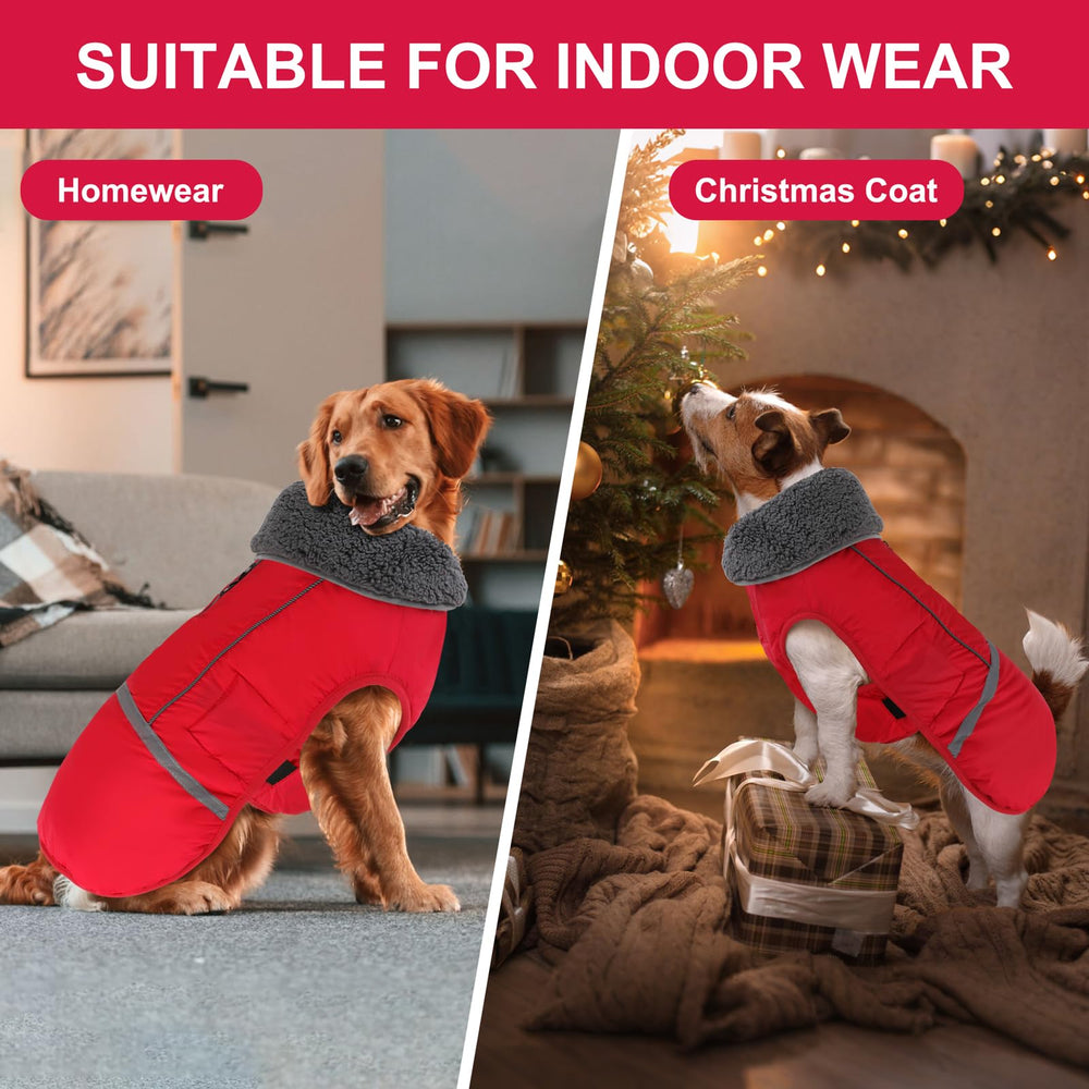 Doglay dog coat worn in cold winter walks with durable nylon fabric.