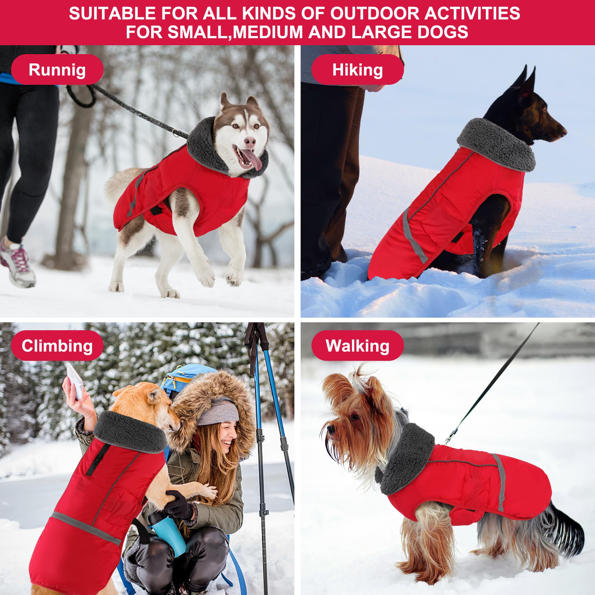 Doglay dog coat packaging highlights gifting suitability for holidays.