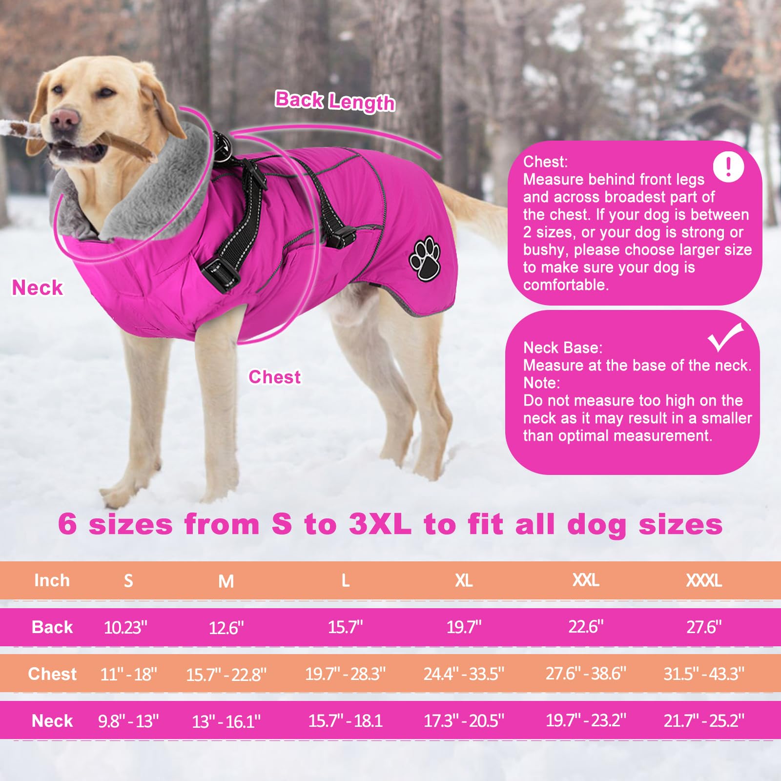 Doglay Dog Coat with Harness back view highlights detachable harness for lightweight wear.