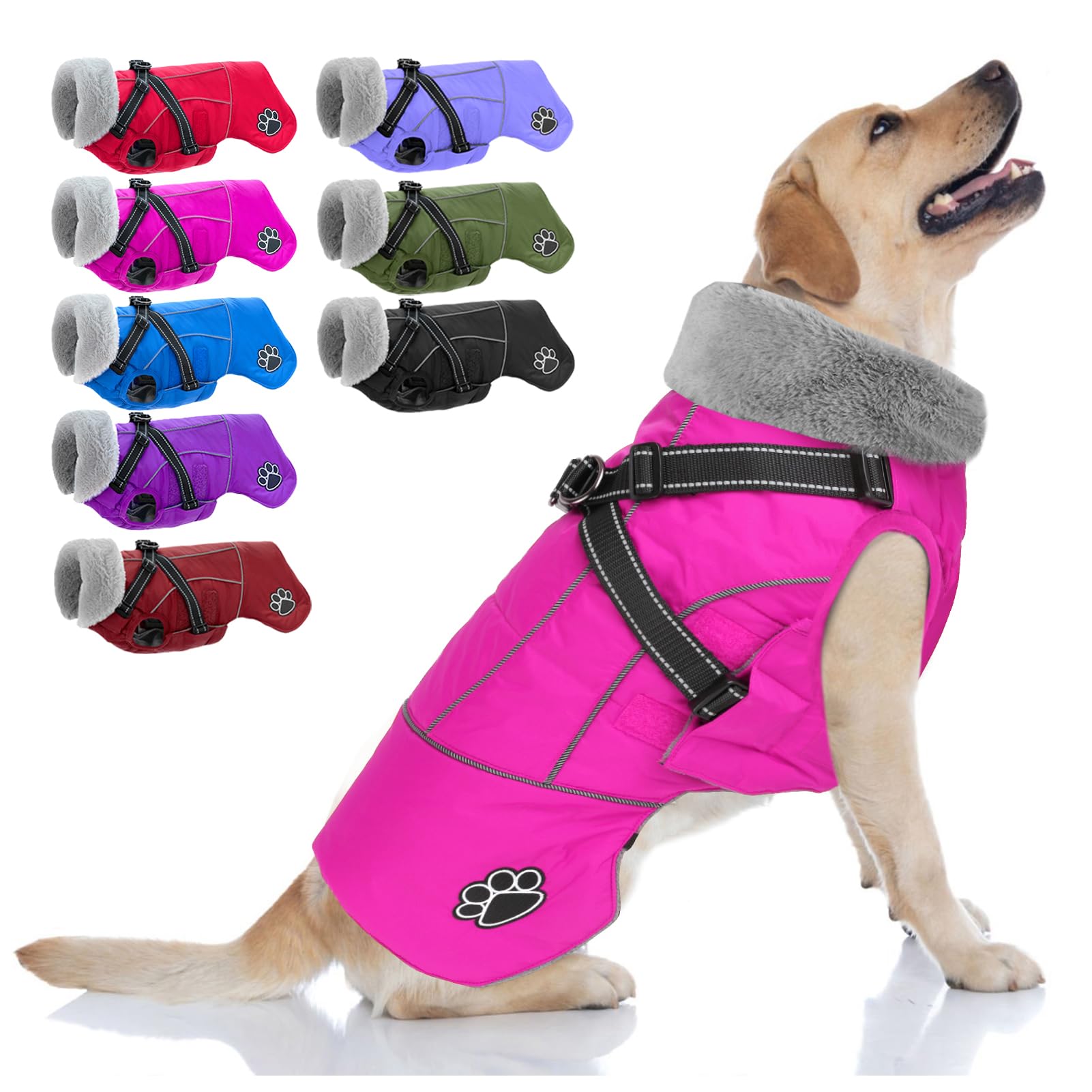 Doglay dog coat with built-in harness shown during safe on-leash walks