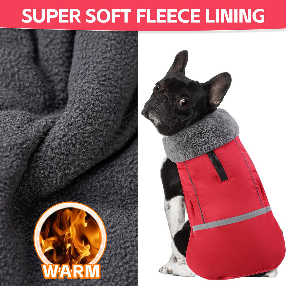 Doglay dog coat worn during outdoor hiking adventures for warmth.