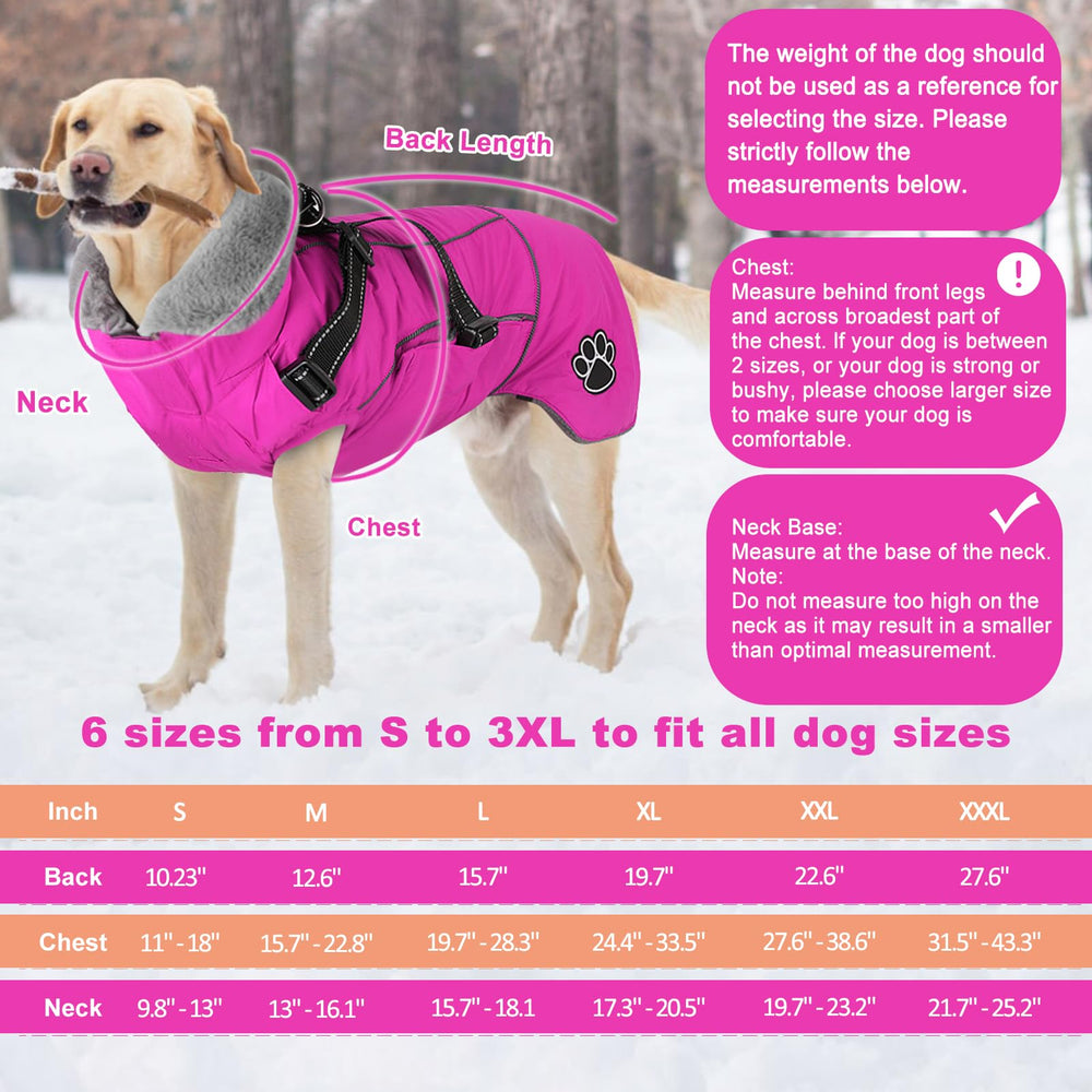 Doglay coat shows reflective stripes on the back for night visibility
