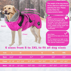 Doglay coat shows reflective stripes on the back for night visibility
