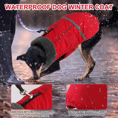 Doglay dog coat showing reflective stripes for night safety.
