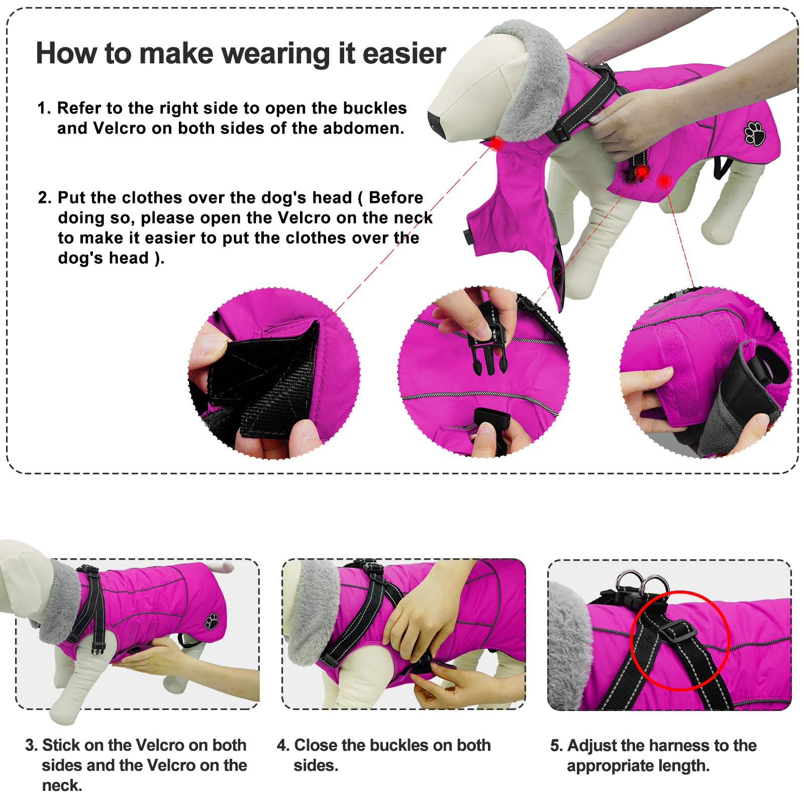 Doglay warm collar and cozy lining for chilly walks