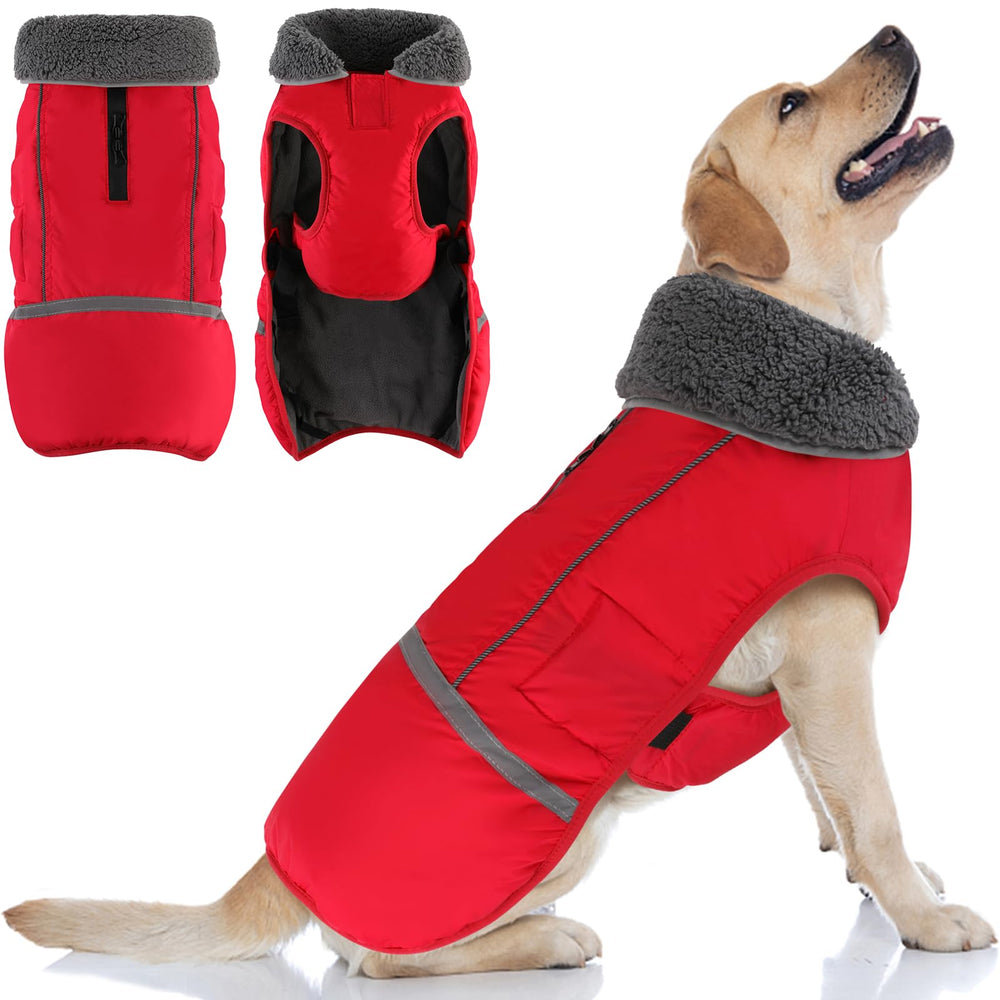 Doglay dog coat waterproof back view with reflective stripes for nighttime visibility.
