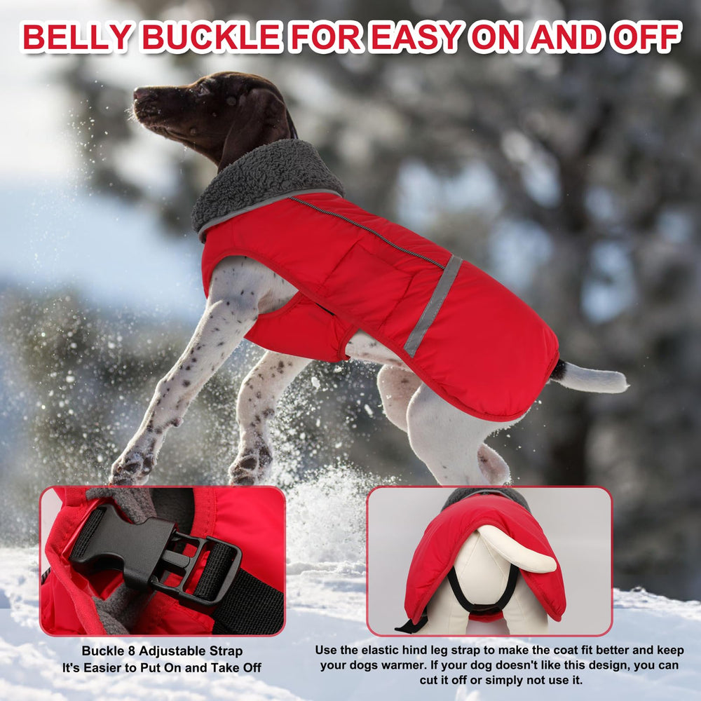 Doglay dog coat waterproof zipper with interior strip to prevent hair snag.