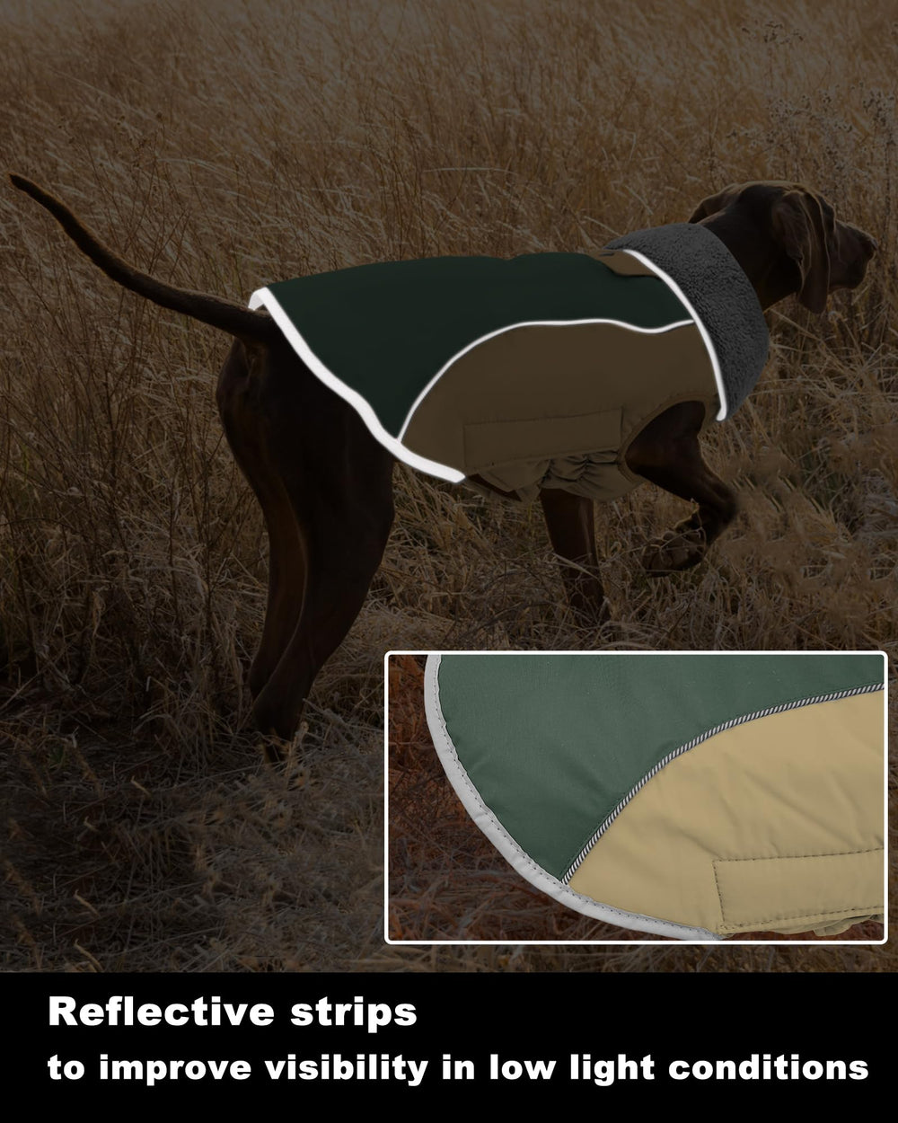 Doglay easy-on-off magic sticker simplifies dressing.